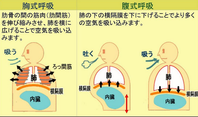 始めるためのヒントと継続するためのヒント